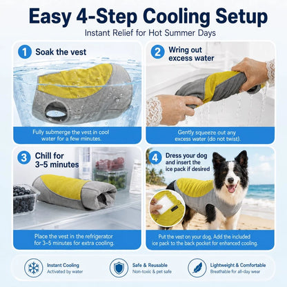 Paws in Awe Water-Activated Dog Cooling Vest for Summer Walks & Hikes product image 3