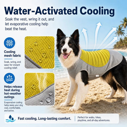 Paws in Awe Water-Activated Dog Cooling Vest for Summer Walks & Hikes product image 6