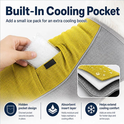 Paws in Awe Water-Activated Dog Cooling Vest for Summer Walks & Hikes product image 7