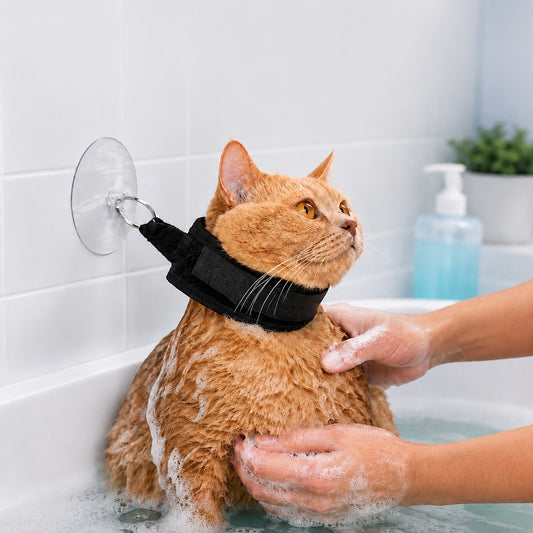 Paws in Awe Pet Bathing Restraint with Suction Cup for Cats & Small Dogs - Hands-Free Grooming Collar to Help Prevent Escapes During Bath Time image 1