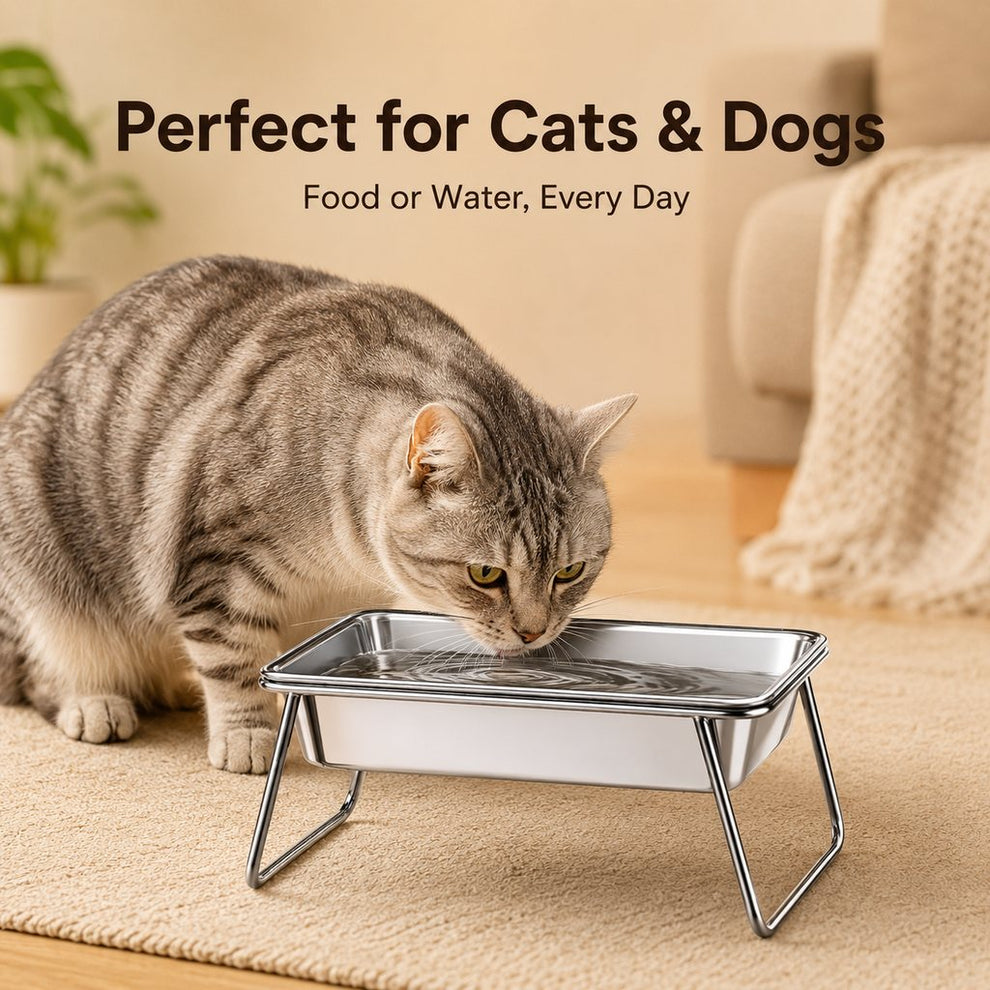 Paws in Awe Elevated 304 Stainless Steel Pet Bowl with Stand for Cats & Dogs - Anti-Tip Raised Feeder for Cleaner Meals image 9