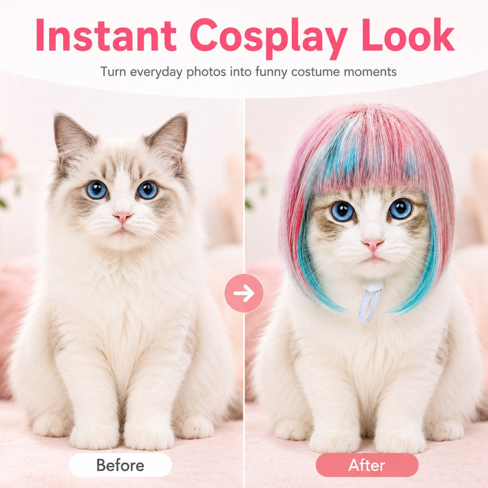 Paws in Awe Pet Cosplay Wig for Cats & Small Pets - Easy Party Photo Prop for Fun Birthday & Halloween Pictures image 5