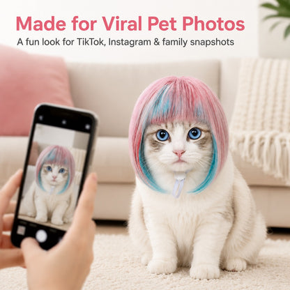 Paws in Awe Pet Cosplay Wig for Cats & Small Pets - Easy Party Photo Prop for Fun Birthday & Halloween Pictures image 4