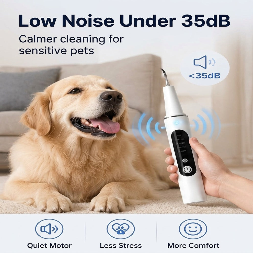 Low-noise pet dental cleaner designed for calmer at-home dog and cat dental care.