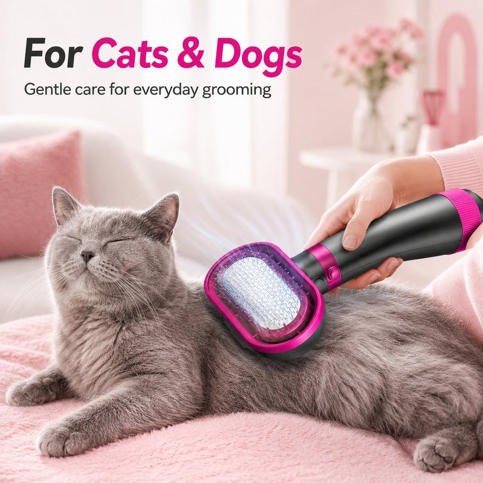 Paws in Awe 4-in-1 Pet Dryer Brush for After-Bath Grooming, Low-Noise Dog & Cat Hair Dryer Comb for Easier Drying, Brushing & Detangling image 3