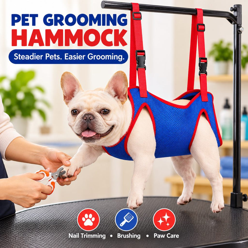 Dog supported in a grooming hammock for supervised nail trimming