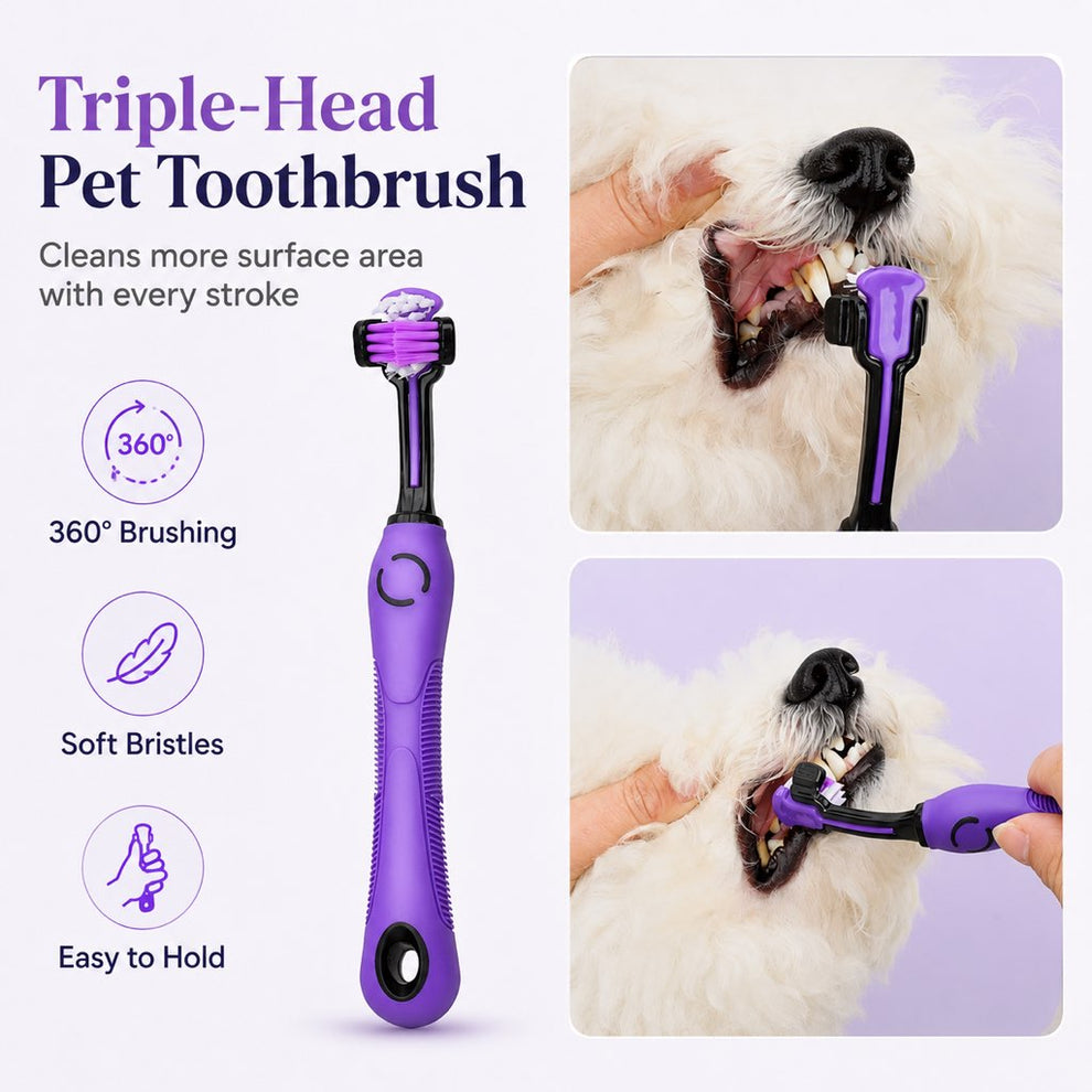 pet grooming kit for dogs and cats