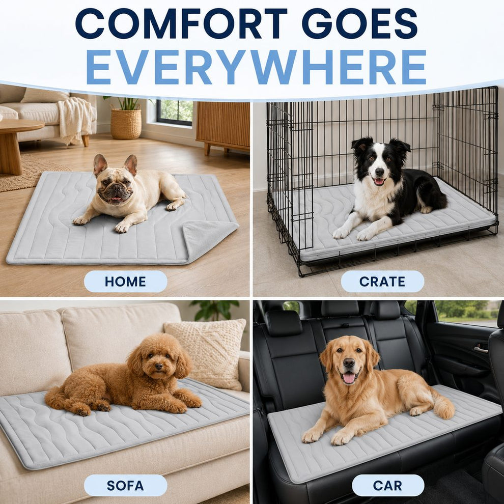 Pet mat for home crate sofa and parked car use