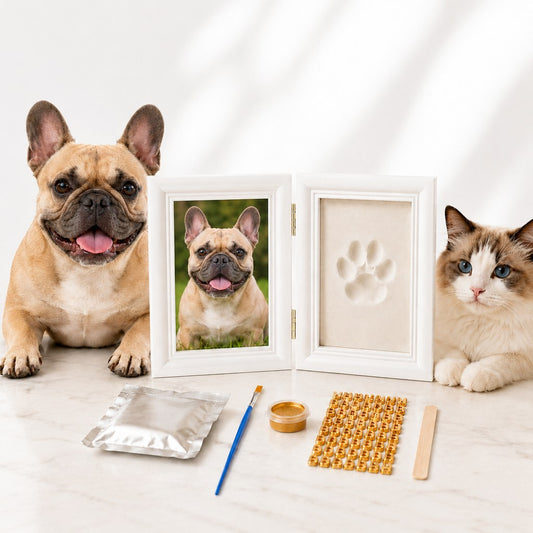 Paws in Awe Pet Paw Print Frame Kit for Dogs & Cats - DIY Keepsake Photo Frame for Home Display, First Paw Memories & Pet Loss Sympathy Gift image 1