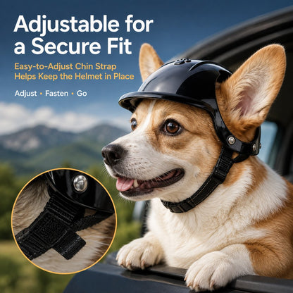 Paws in Awe Lightweight Pet Protective Helmet for Car Rides & Outdoor Adventures - Adjustable Open-Ear Head Guard for Cats & Small Dogs image 7