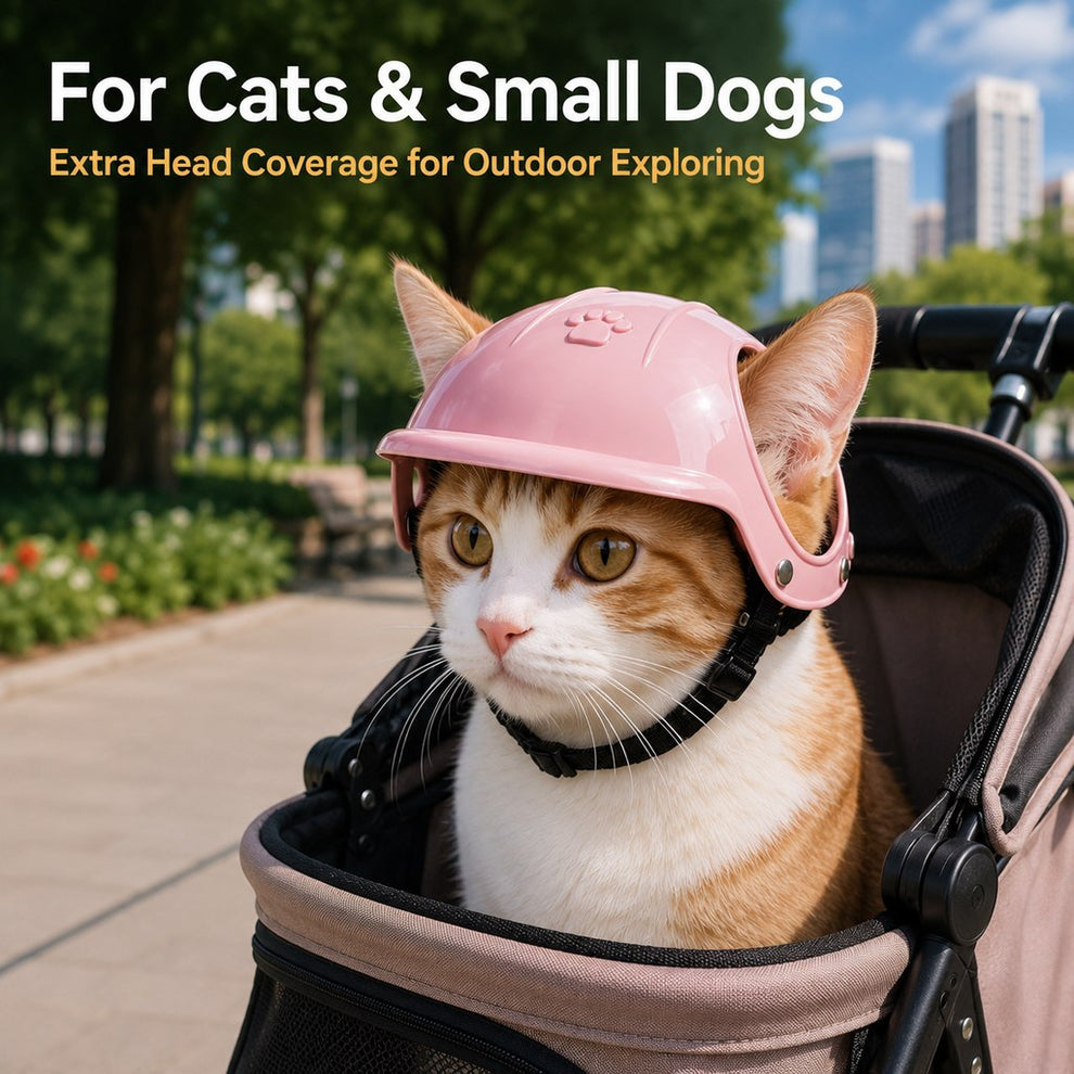 Paws in Awe Lightweight Pet Protective Helmet for Car Rides & Outdoor Adventures - Adjustable Open-Ear Head Guard for Cats & Small Dogs image 4