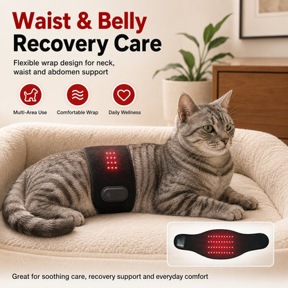 Paws in Awe Pet Red Light Therapy Belt for Dogs & Cats Neck, Waist & Abdomen Comfort Wrap image 4