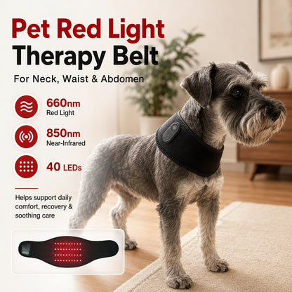 Paws in Awe Pet Red Light Therapy Belt for Dogs & Cats Neck, Waist & Abdomen Comfort Wrap image 2