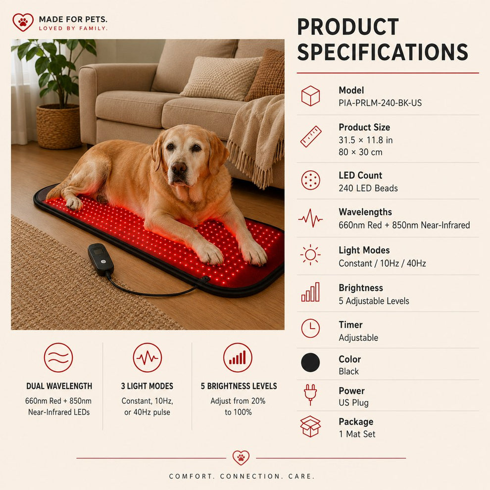 Paws in Awe Pet Red & Near-Infrared Light Wellness Mat