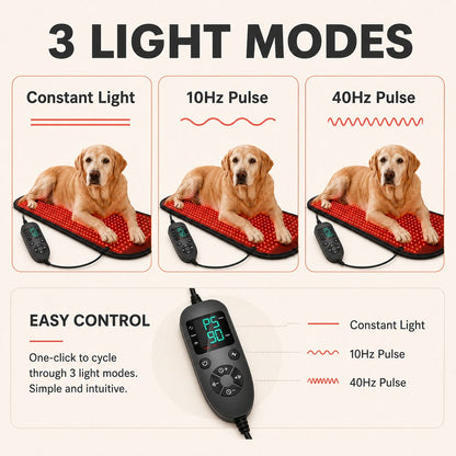 Three light modes on pet red and near-infrared light wellness mat