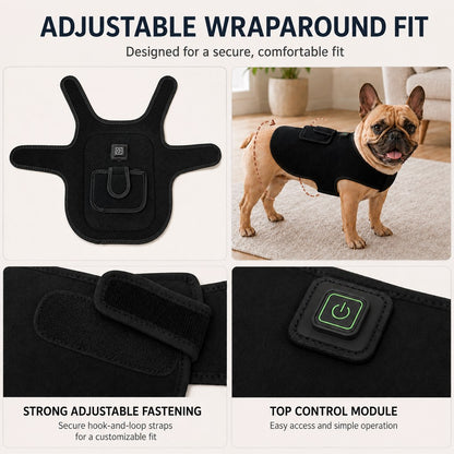 Pet red and near-infrared light wrap lifestyle image
