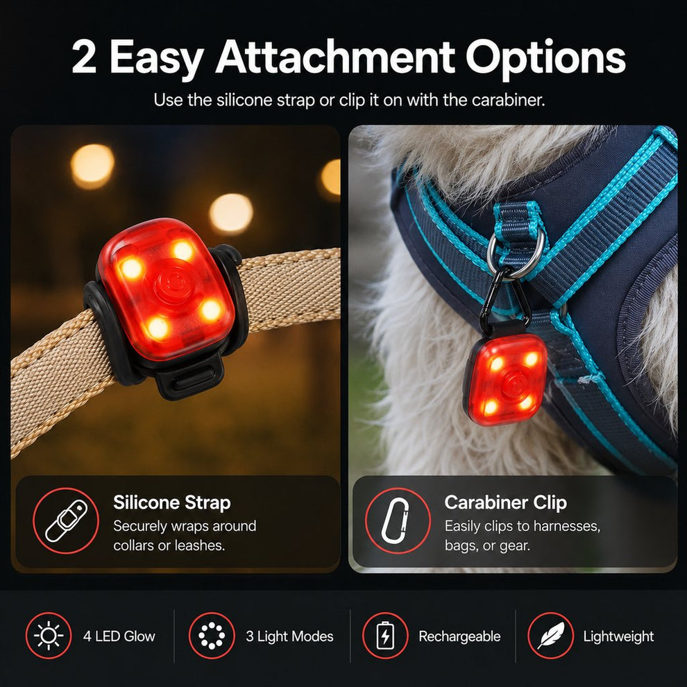 Paws in Awe Clip-On Pet Safety Light for Night Walks - Helps Dogs & Cats Stay Visible After Dark image 7
