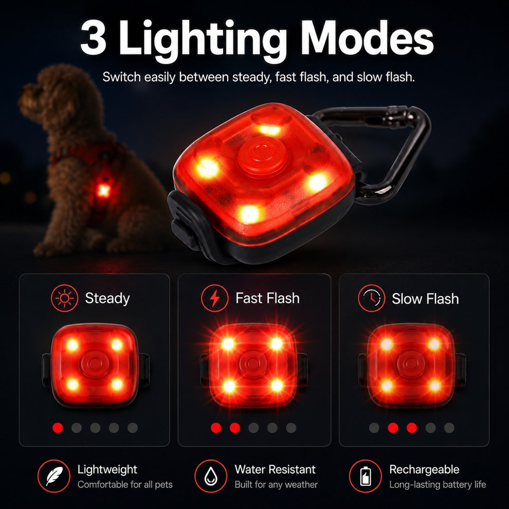 Paws in Awe Clip-On Pet Safety Light for Night Walks - Helps Dogs & Cats Stay Visible After Dark image 5