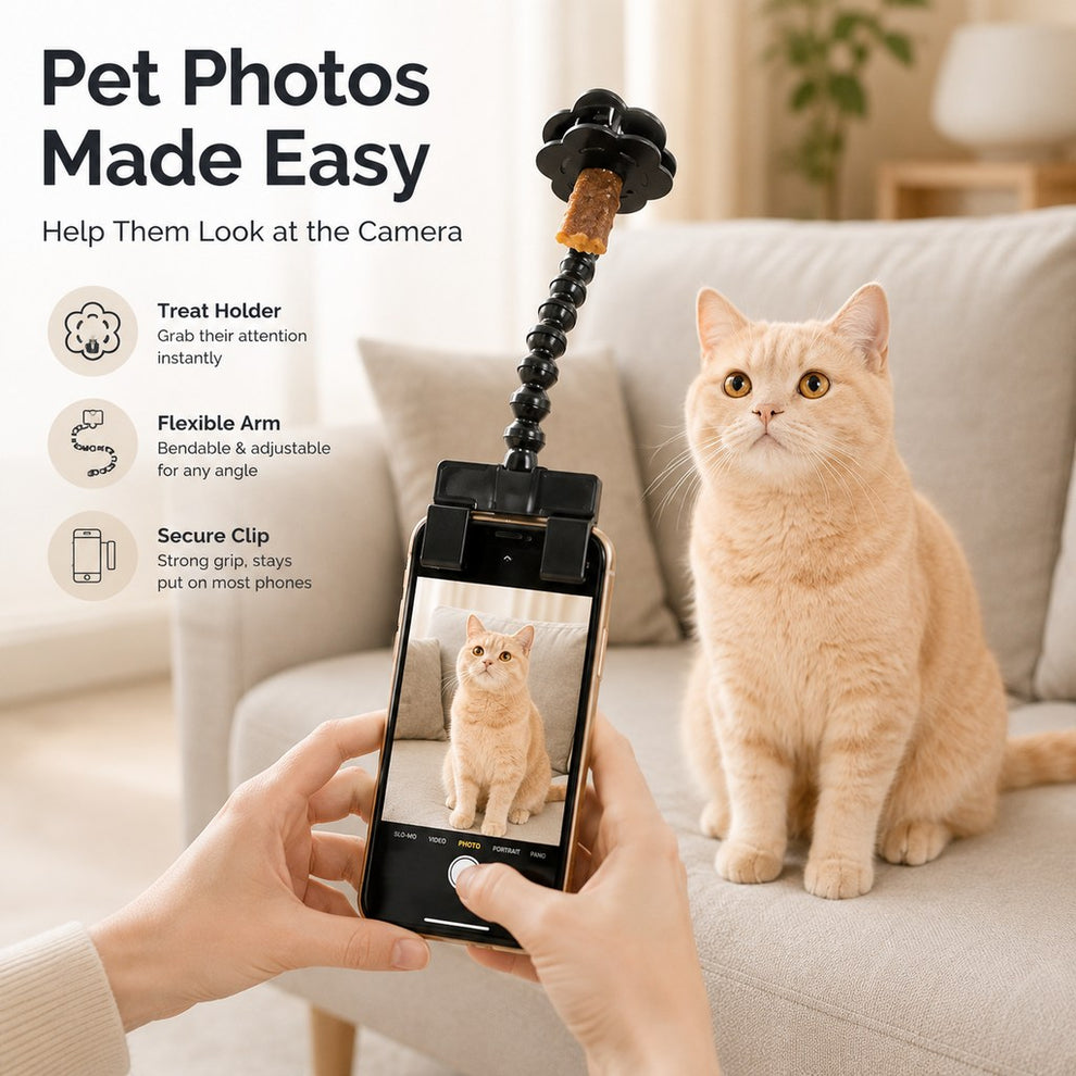 Paws in Awe Pet Selfie Clip for Cat & Dog Photos - Treat Holder Phone Attachment for Pets That Won't Look image 2