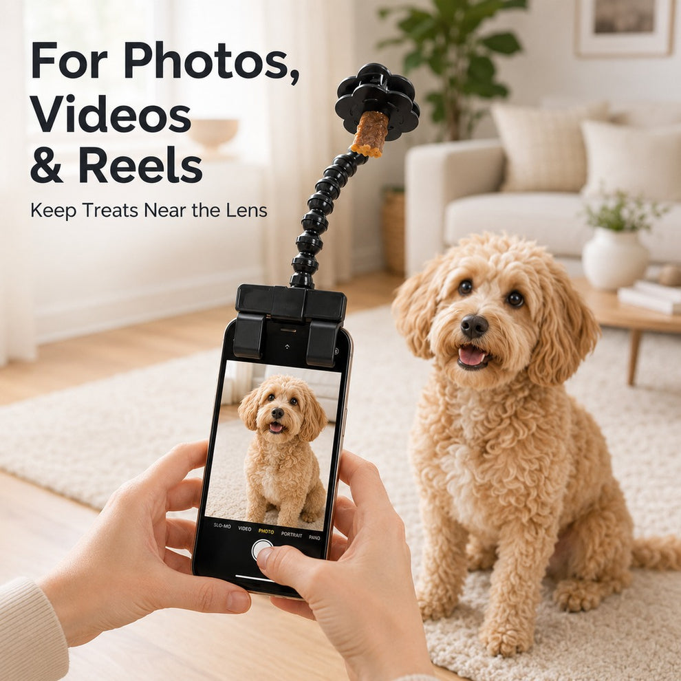 Paws in Awe Pet Selfie Clip for Cat & Dog Photos - Treat Holder Phone Attachment for Pets That Won't Look image 3