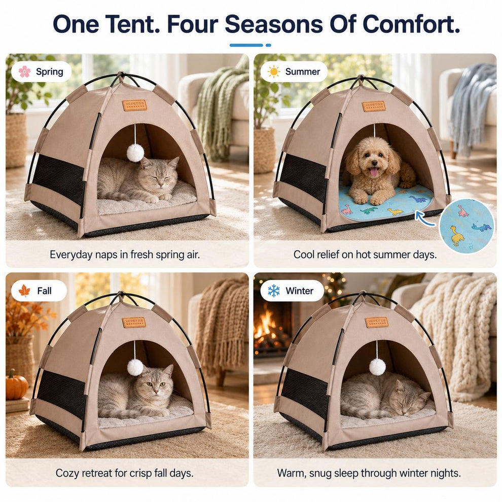 Pet tent bed for spring summer fall and winter comfort.