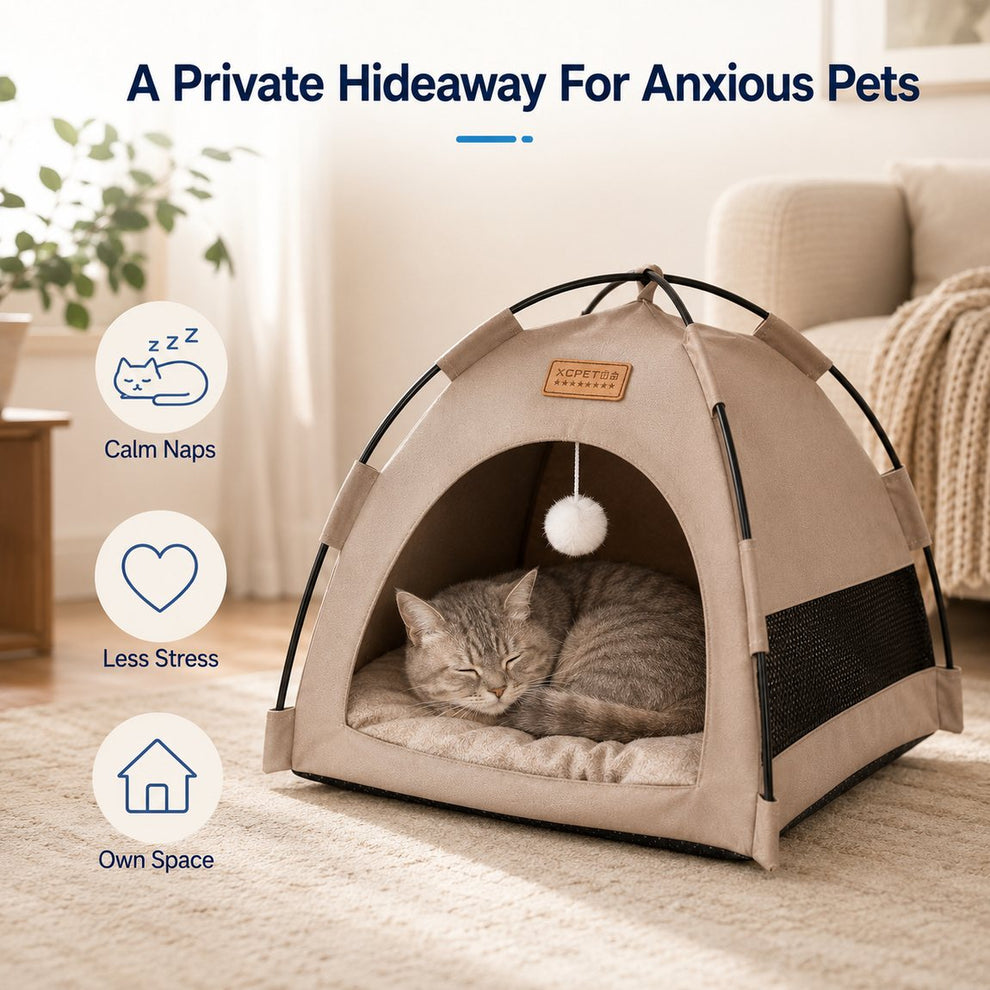 Private pet tent hideaway for calm naps and a personal indoor space.
