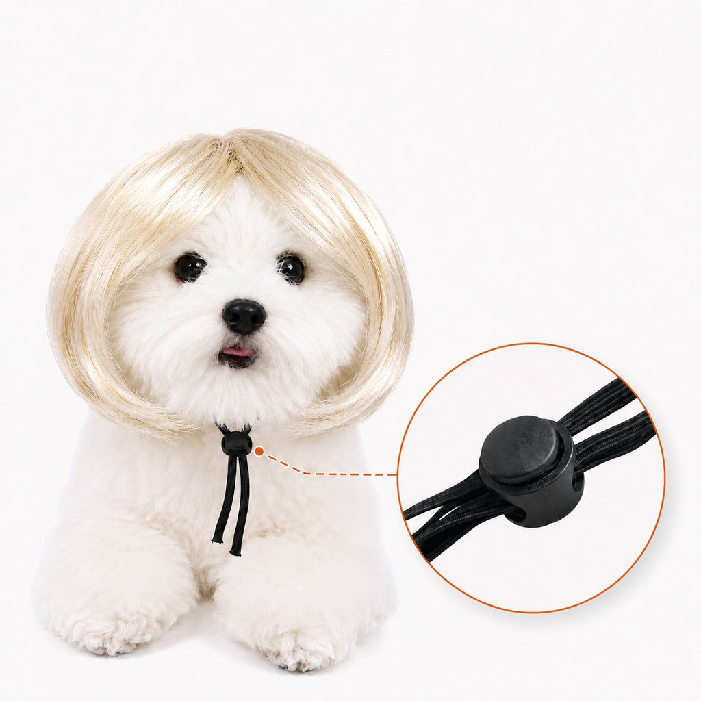 Paws in Awe Funny Short Bob Pet Wig for Photos & Parties - Easy Costume Prop for Cats & Small Dogs image 13