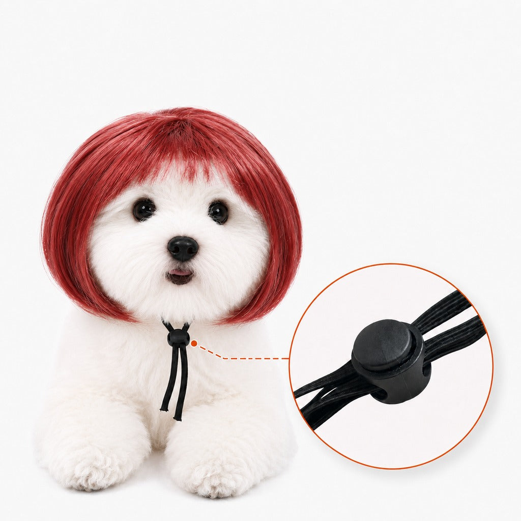 Paws in Awe Funny Short Bob Pet Wig for Photos & Parties - Easy Costume Prop for Cats & Small Dogs image 16
