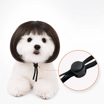 Paws in Awe Funny Short Bob Pet Wig for Photos & Parties - Easy Costume Prop for Cats & Small Dogs image 19