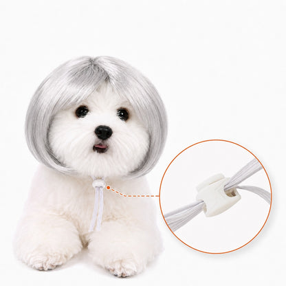 Paws in Awe Funny Short Bob Pet Wig for Photos & Parties - Easy Costume Prop for Cats & Small Dogs image 17