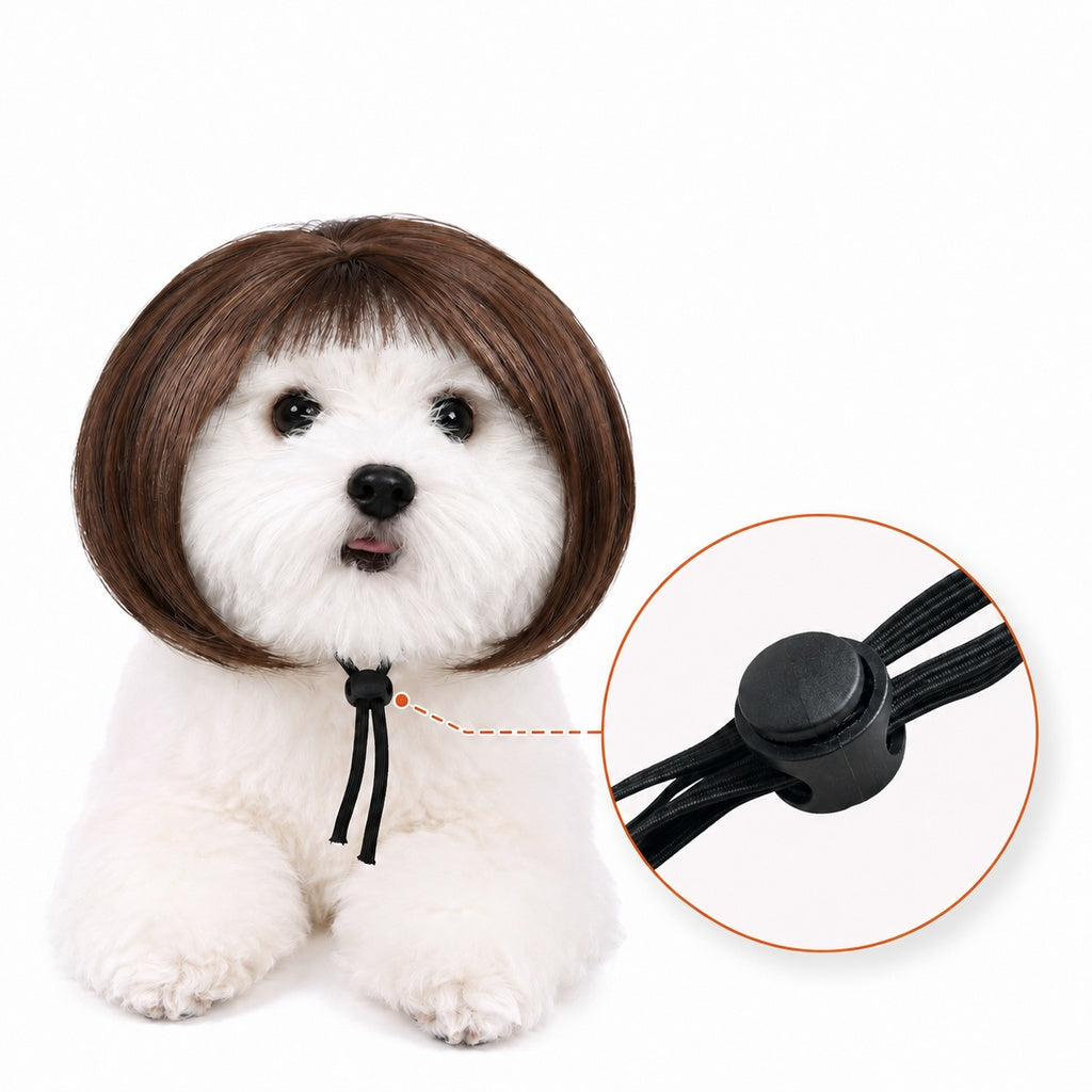 Paws in Awe Funny Short Bob Pet Wig for Photos & Parties - Easy Costume Prop for Cats & Small Dogs image 14