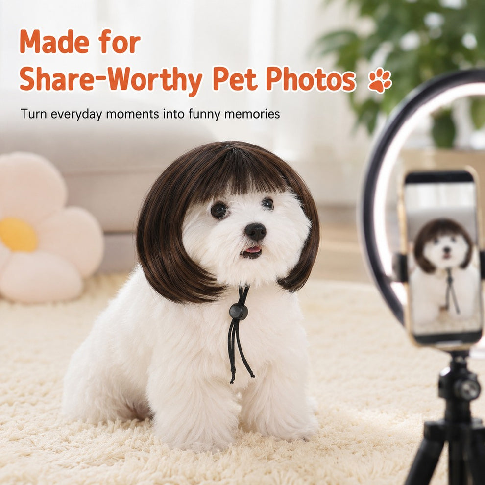 Paws in Awe Funny Short Bob Pet Wig for Photos & Parties - Easy Costume Prop for Cats & Small Dogs image 3