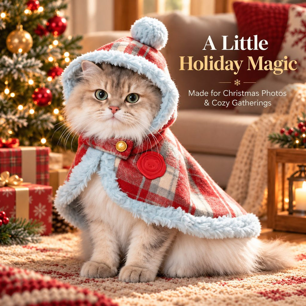 cat wearing a red plaid Christmas cape for holiday photos