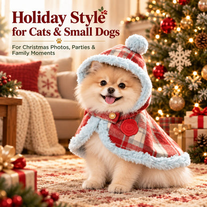 small dog wearing a red plaid hooded pet cape for Christmas