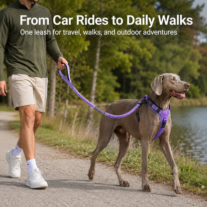 Paws in Awe Reflective Dog Car Seat Belt Leash for Backseat Travel & Daily Walks - Shock-Absorbing Bungee Tether to Help Reduce Pulling & Driver Distraction image 4