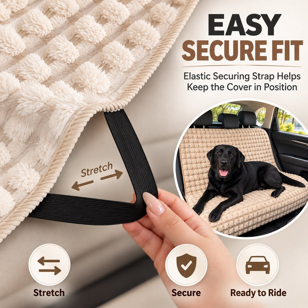Elastic securing strap on plush dog back seat cover