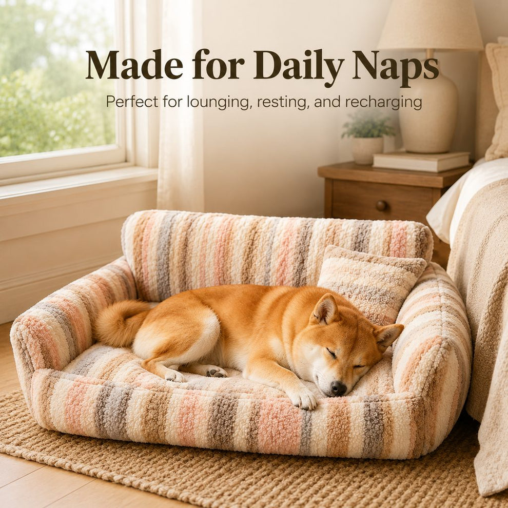 Paws in Awe Cozy Plush Dog Sofa Bed for Living Rooms - Soft Bolstered Support for Everyday Naps image 2