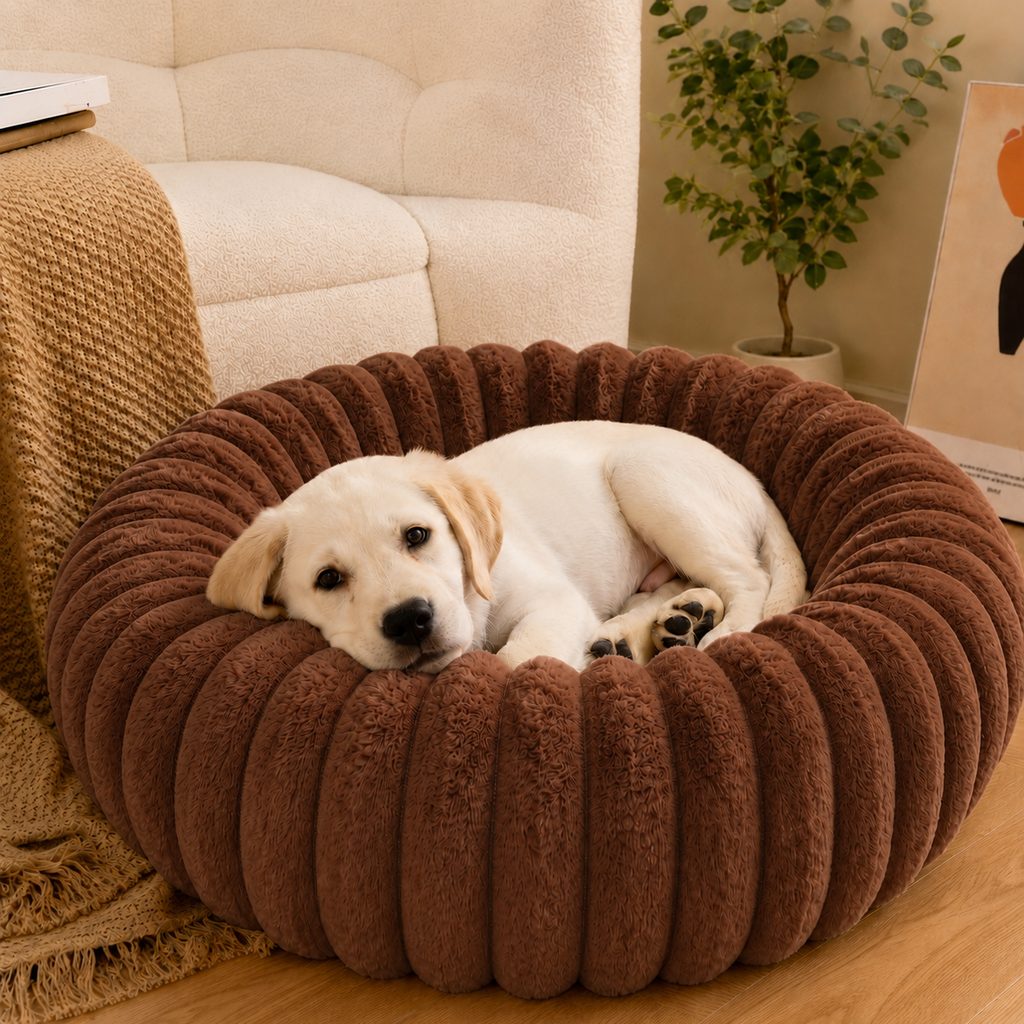 Paws in Awe Plush Donut Dog & Cat Bed with Raised Rim - Cozy Ribbed Lounger for Naps & Everyday Rest image 15