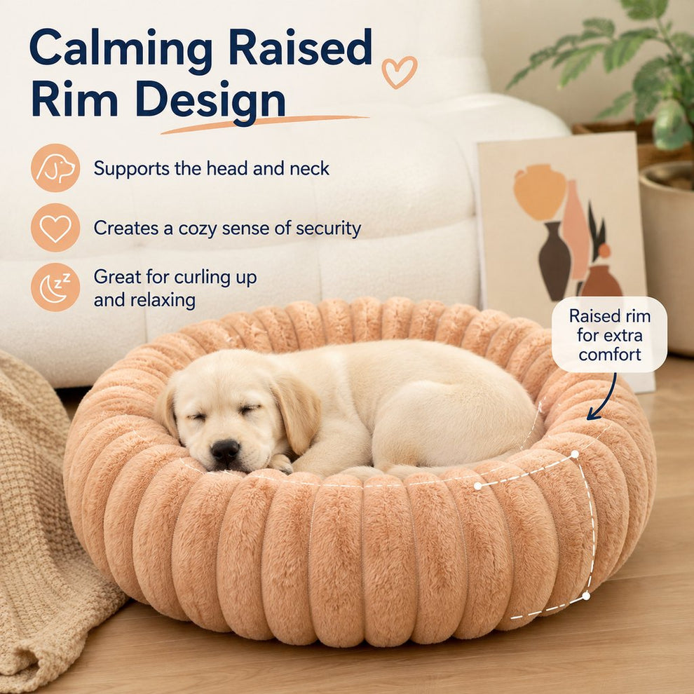 Paws in Awe Plush Donut Dog & Cat Bed with Raised Rim - Cozy Ribbed Lounger for Naps & Everyday Rest image 6