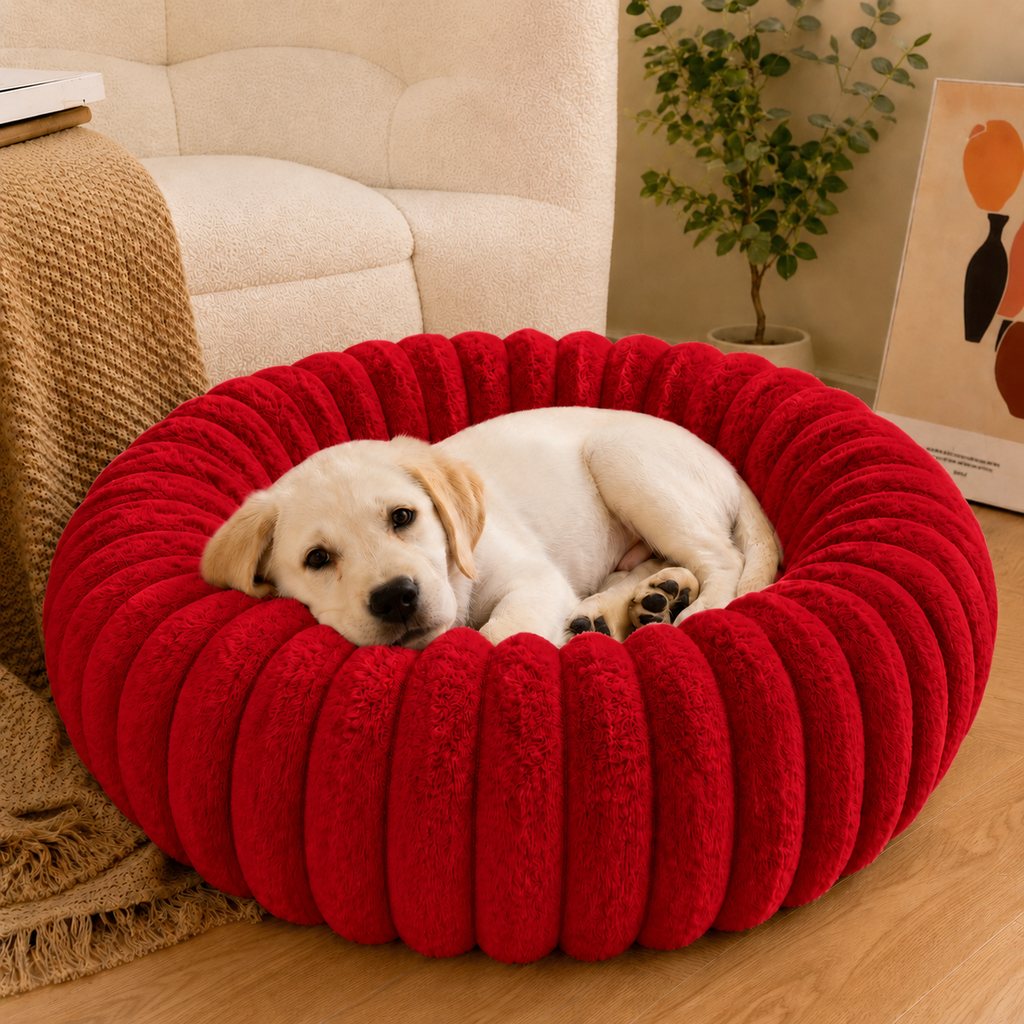 Paws in Awe Plush Donut Dog & Cat Bed with Raised Rim - Cozy Ribbed Lounger for Naps & Everyday Rest image 14
