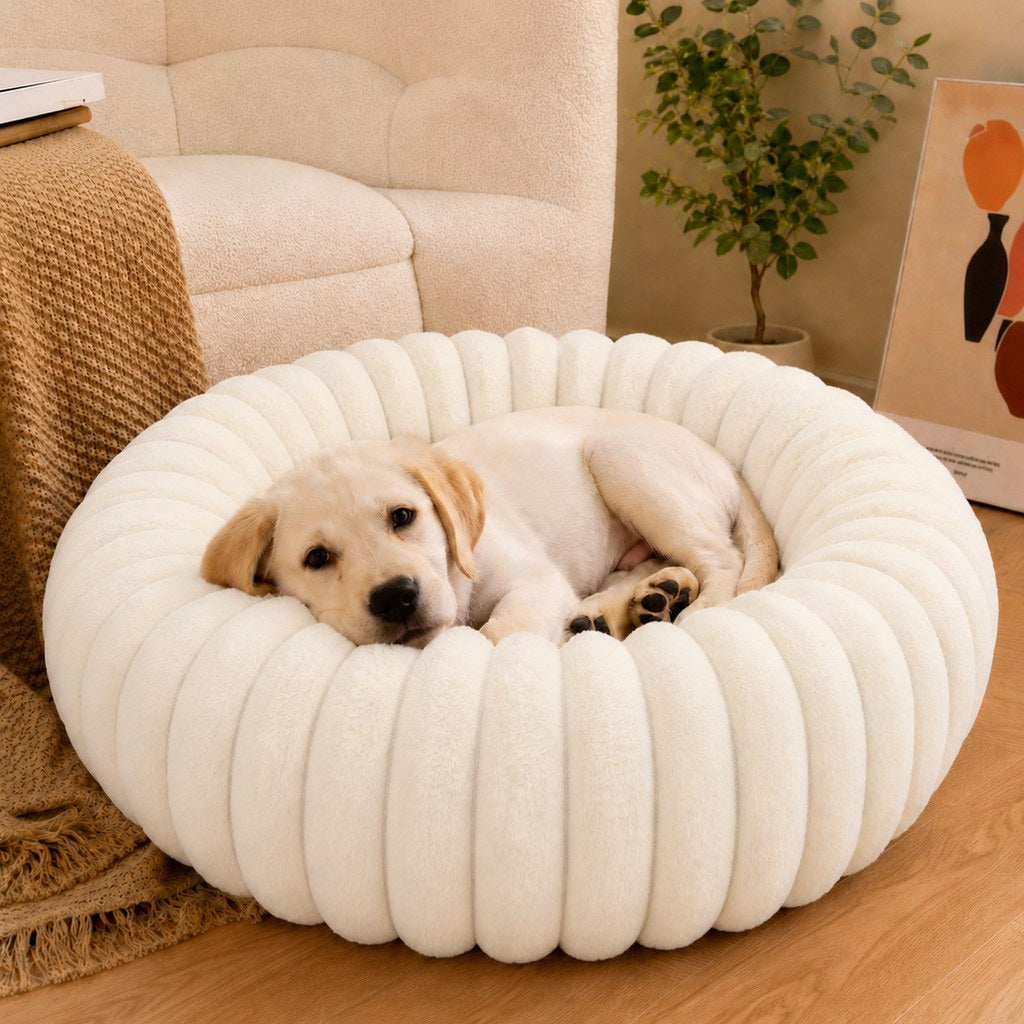 Paws in Awe Plush Donut Dog & Cat Bed with Raised Rim - Cozy Ribbed Lounger for Naps & Everyday Rest image 3