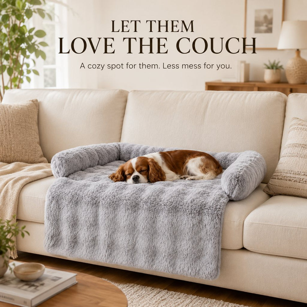 Light gray plush pet couch cover bed with three-sided bolster