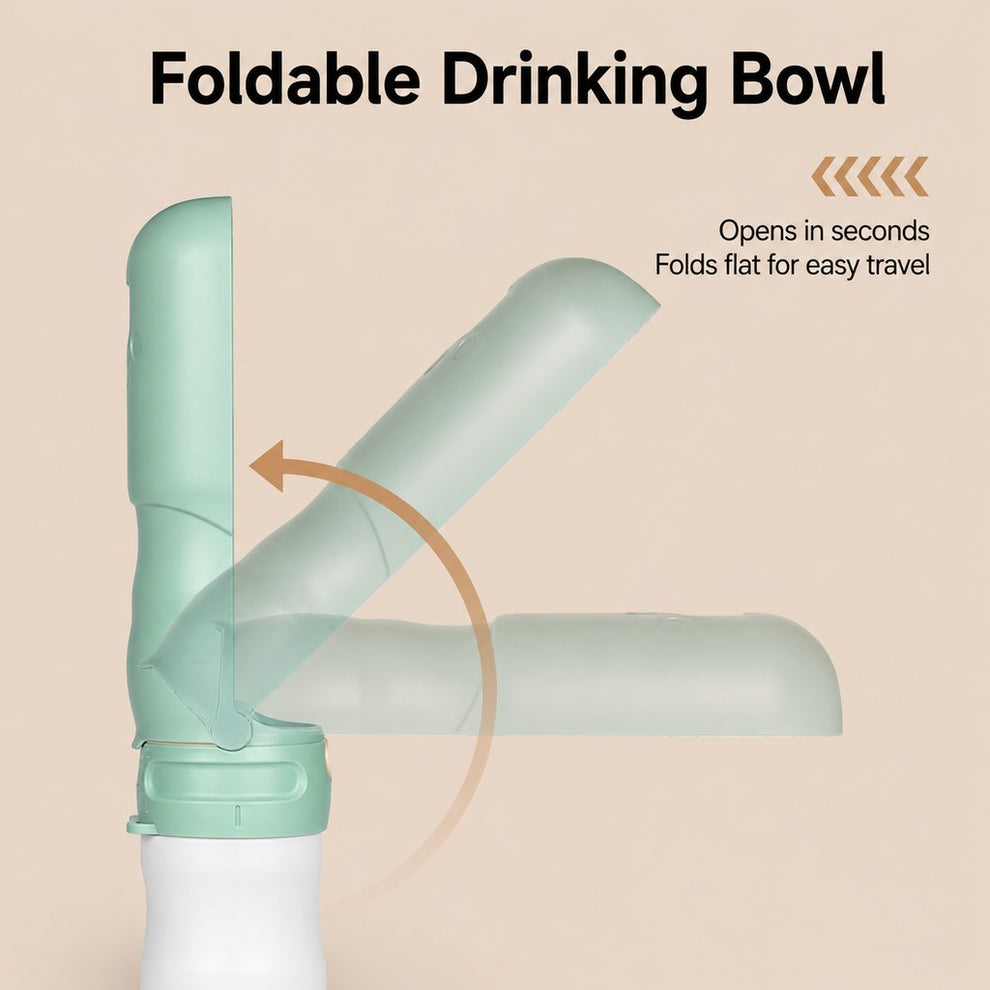 Foldable drinking bowl on portable dog water bottle