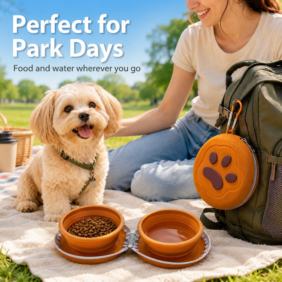 portable double pet food water bowl for walks