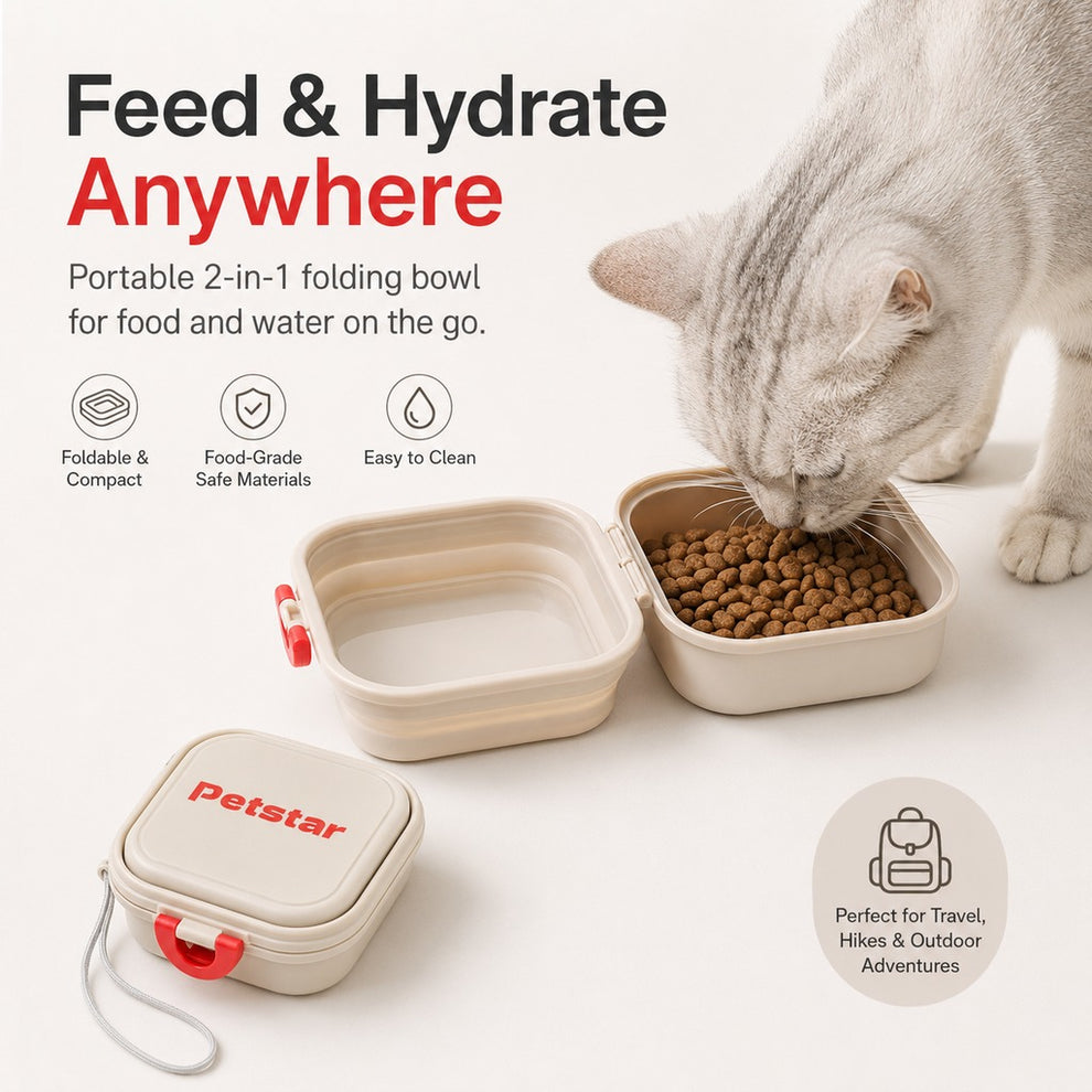 Paws in Awe Portable 2-in-1 Folding Pet Bowl for Walks & Travel - Keeps Food and Water Separate image 3
