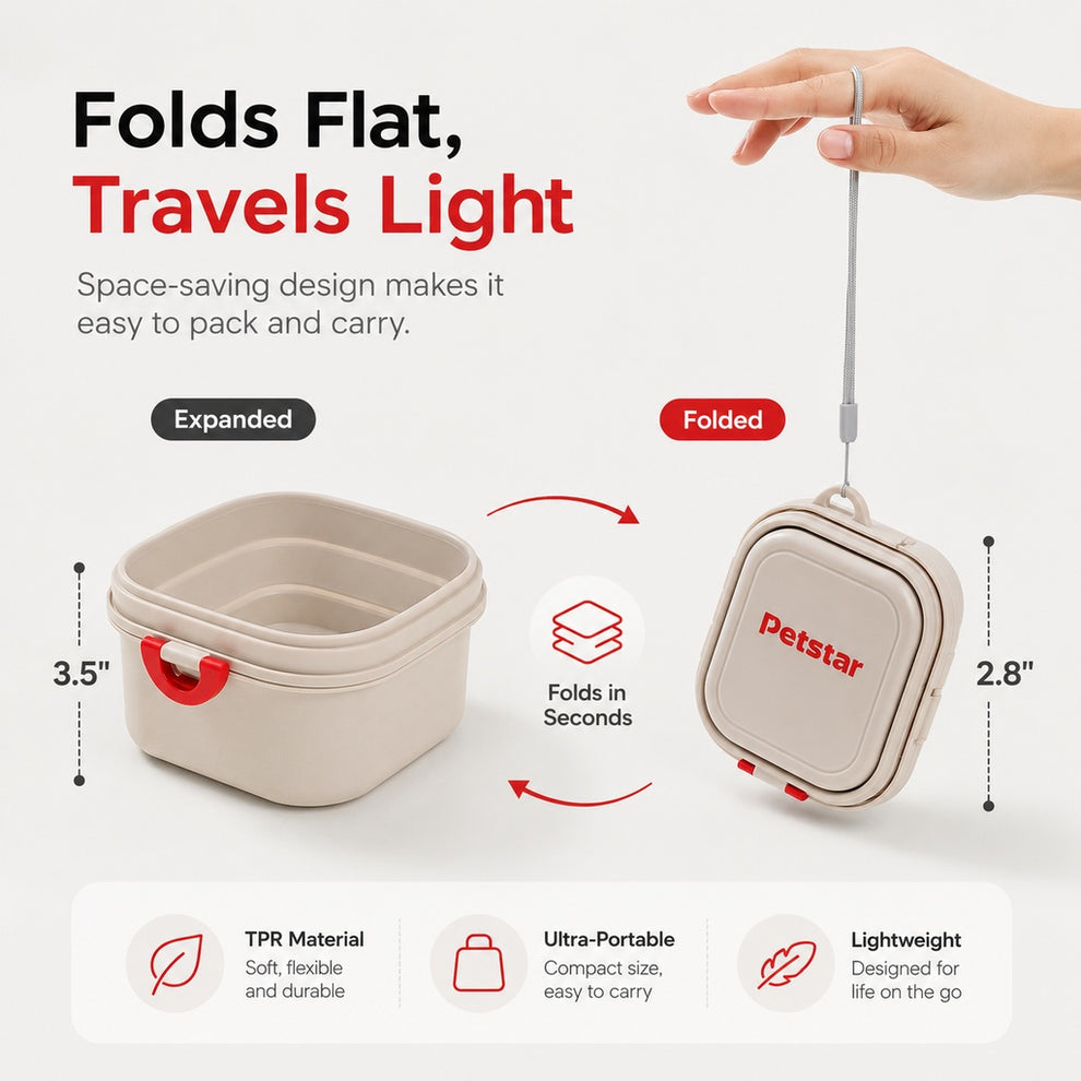 Paws in Awe Portable 2-in-1 Folding Pet Bowl for Walks & Travel - Keeps Food and Water Separate image 5