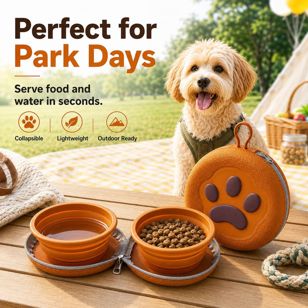 Paws in Awe Paw-Shaped Collapsible Pet Travel Bowl Set for Walks, Camping & Road Trips - Feed Anywhere Without Bulky Bowls image 2