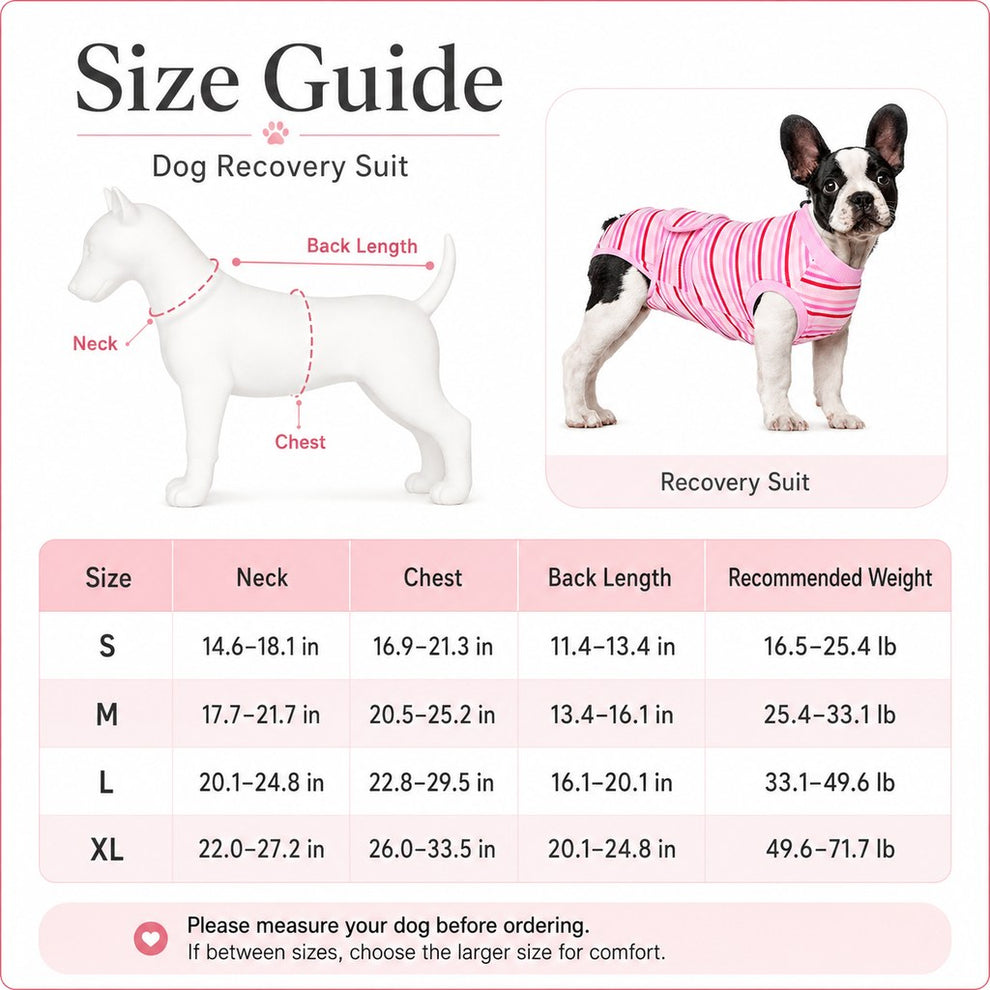 Paws in Awe Breathable Dog Recovery Suit for Spay & Neuter Recovery, Soft Cone Alternative Onesie to Help Reduce Licking After Surgery image 10
