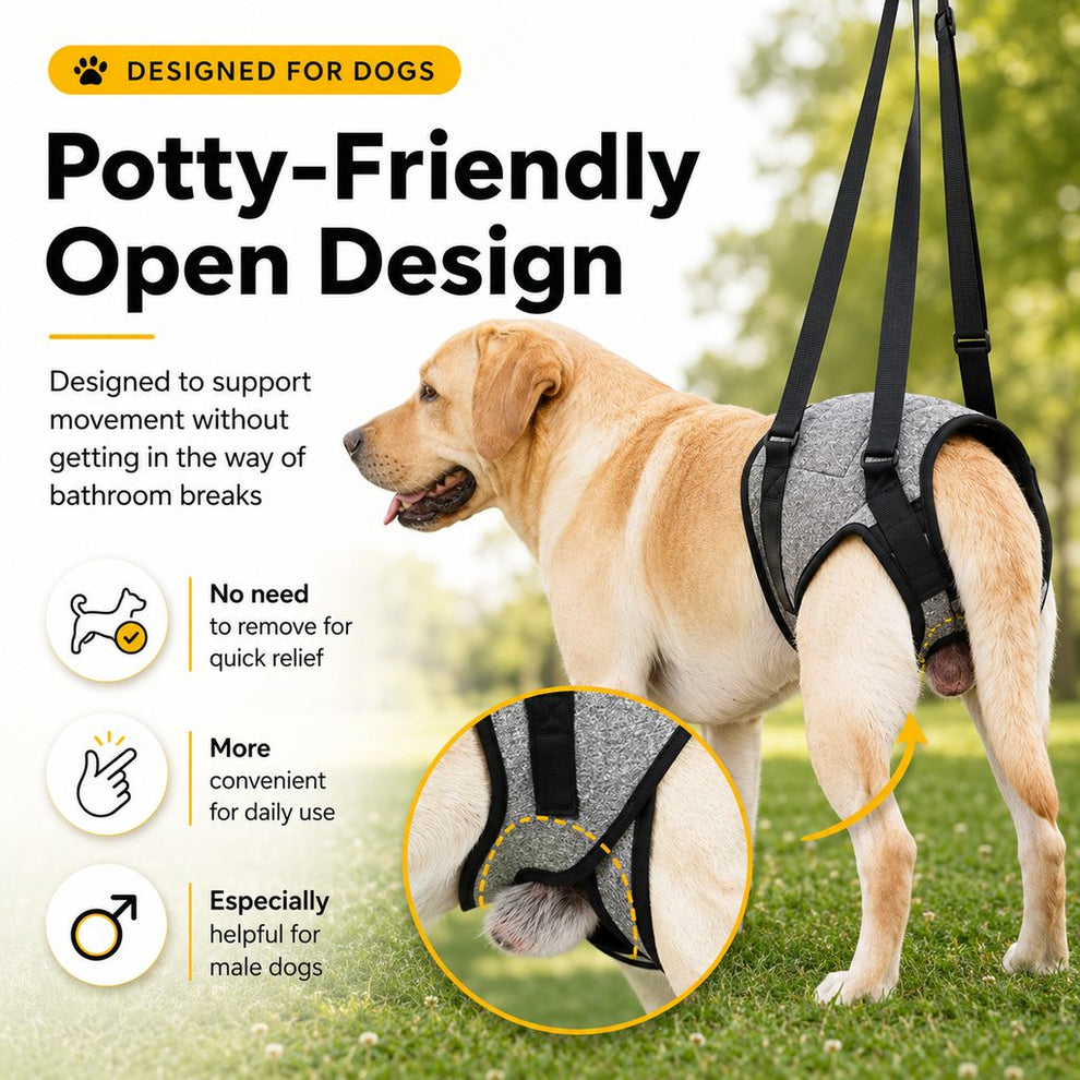 Paws in Awe Dog Rear Support Harness for Stairs, Walks & Car Rides - Mobility Lift Sling for Senior Dogs with Weak Hind Legs image 3
