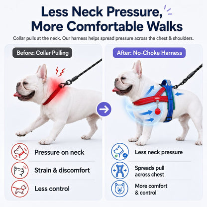 French Bulldog harness and leash set updated gallery image